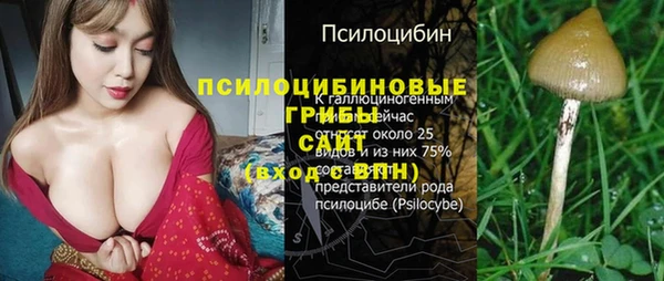 синтетический гашиш Алексеевка