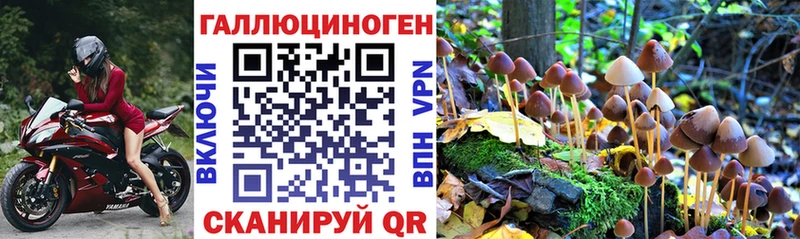 Галлюциногенные грибы мухоморы  Микунь 