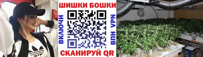 сколько стоит  Микунь  Конопля тримм 